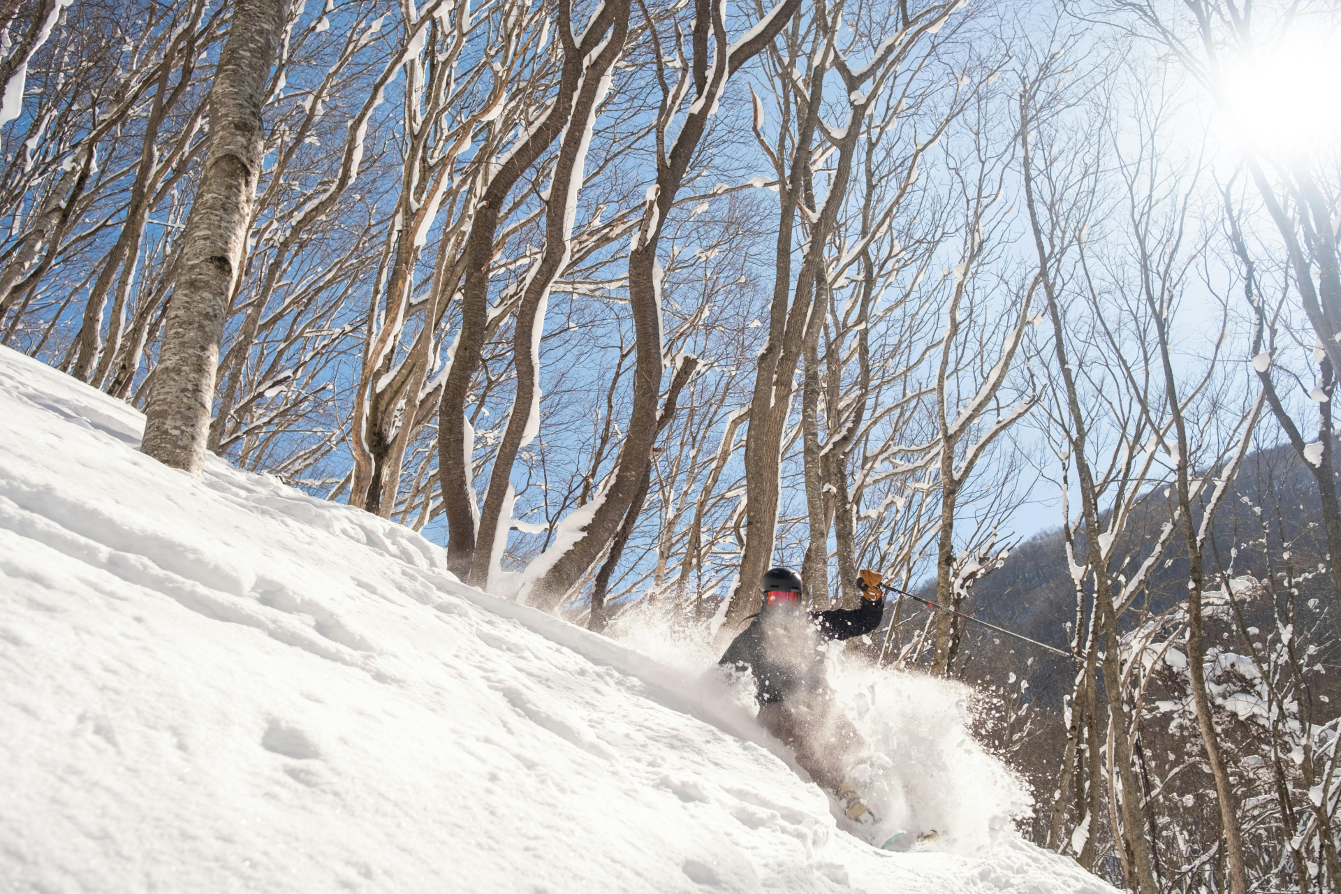 Jose Fernandes skiing powder through the trees in Niseko, Hokkaido